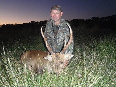 hog deer 1